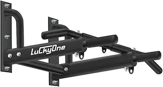 Wall Mount Pull Up Bar
