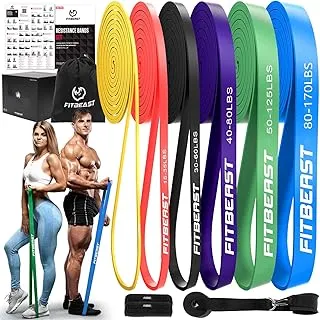 FitBeast Resistance Bands Set