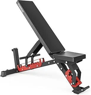 Synergee Adjustable Wing Back Workout Bench. Weight Bench for Dumbbell & Barbell Press Exercises & Workouts. Great for Commercial